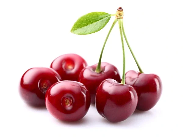 پوره آلبالو